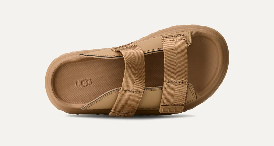 goudenglow-dia