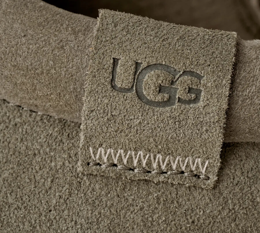 tasman lug